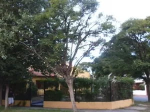 Muy lindo chalet de 4 ambientes