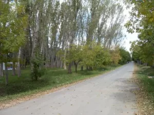 PARQUE JULARO
