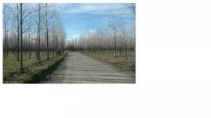 Lote en venta
