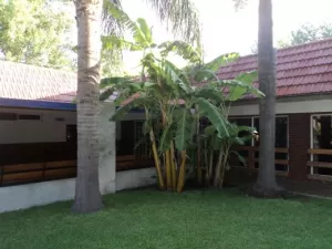 CASA QUINTA Y SALON DE FIESTAS