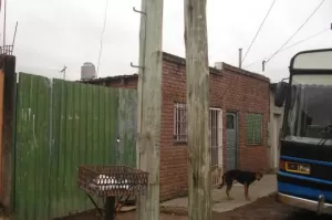 Lote 10x43