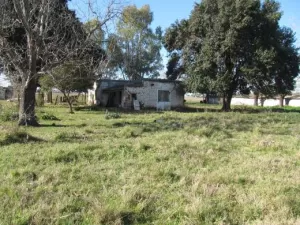 Chacra