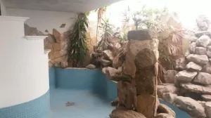 Negocios Especiales