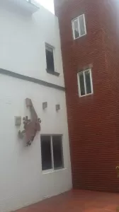 HERMOSA CASA CERCA MUSEO DOLORES OLMEDO