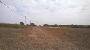 Terreno en Venta en Oliveros, Iriondo, Santa Fé