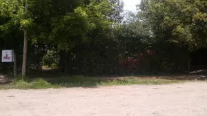 2 TERRENOS A 1 CUADRA DE CAMINO DE CINTURA