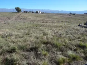 DOCE (12) Lotes en Yacanto de Calamuchita