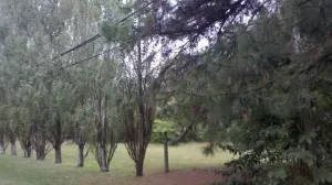 Vendo terreno para desarrollo urbano