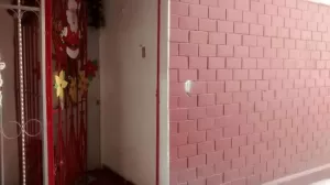 Departamento en venta colonia el arbolillo