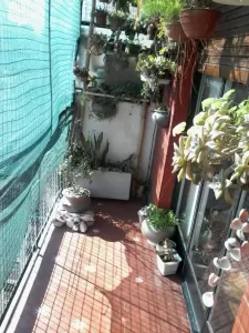 Almagro 3 ambientes c/balcon