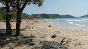 Terreno a Piede Playa en Pagos