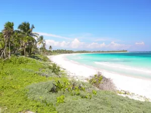 Terreno al Mar Caribe