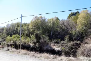 Lote en Entre Cerros