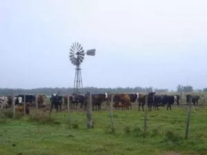 ALQUILO campo MIXTO de 360 Ha EN SUARDI SANTA FE