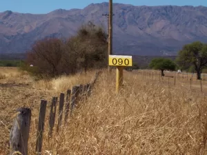 Campo Mixto 480 Ha / Charbonier