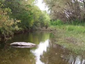 Fracción de 2 Hectáreas en San Esteban