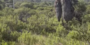 4400 m2 Barrio La Banda
