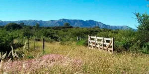 Chacras de montaña