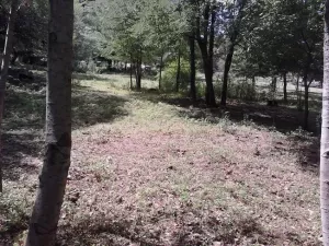 Venta Lote - Ruta 9 30500 - El Trapiche - San Luis