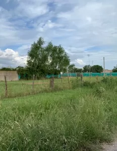 Terreno