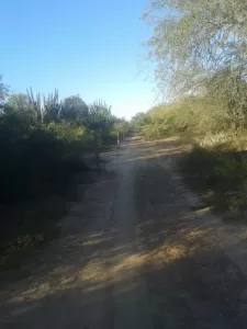 Campo en Santiago del Estero (Figueroa)