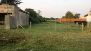 Terreno en Bo Los Almendros (Junín Bs. As.)