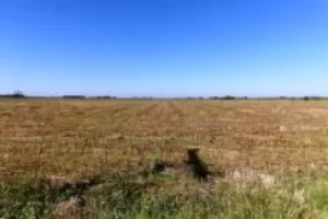 Campo de 30 / 49 ha, Bermudez, (LINCOLN).7 Km de la ruta.
