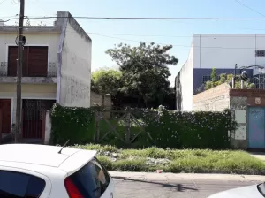Lote