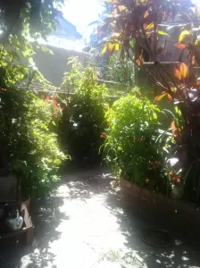 PH 4 ambientes  Planta Baja Contrafrente