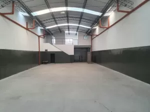 GALPON 300M2 NUEVO C/FUERZA MOTRIZ MARTIN CORONADO