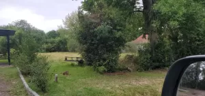 Excelente Lote sobre Suecia, Barrio Las Naciones