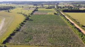 OPORTUNIDAD CAMPO EN VENTA EN $$COLONIA TATACUA CORRIENTES