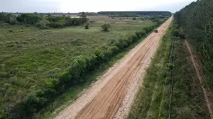 CAMPO DE 8 HAS COLONIA CAIMAN, SAN MIGUEL CORRIENTES