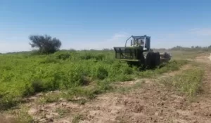 VENDO 100 Ha CAMPO AGRICOLA