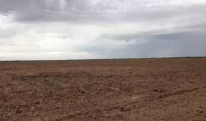 VENDO 230 Ha CAMPO AGRICOLA