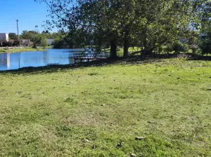 LOTE CON PLAYA A LA LAGUNA NORTE CON DOS AÑOSOS ARBOLES