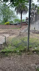 LOTE