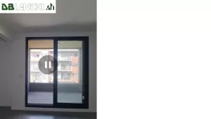 RECOLETA, PARAGUAY Y GALLO
