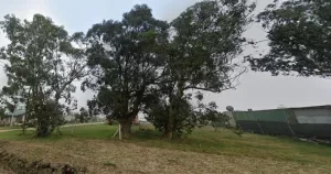 Lote- Venta - Santa Elena, Mar Chiquita