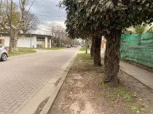LOTE  298 METROS