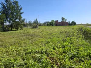 Lote en Venta - 351 m2  en zona de casaquintas- Brandsen