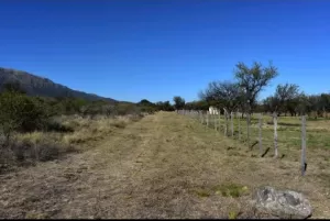 VENTA LOTE- SAN LUIS  MERLO