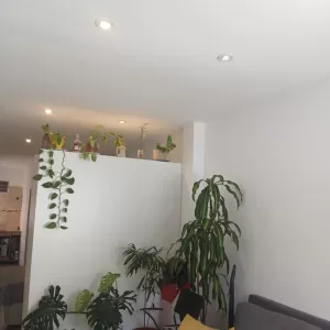 Hermoso PH  1 amb. dividido con Patio