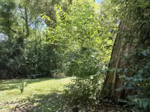 Lote muy arbolado en Loma Verde