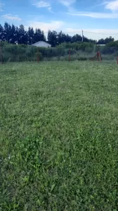 Lote cercado y mantenido cerca de ruta 6