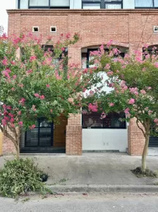 VENTA - DEPARTAMENTO CENTRICO EN PLANTA BAJA